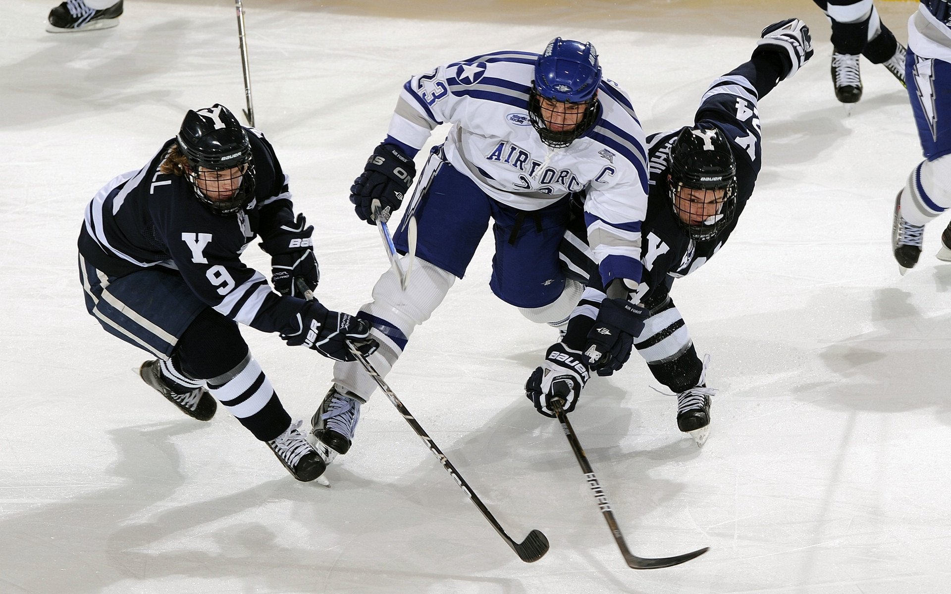 体育博物馆展出百年奥运珍贵实物，体育类博物馆